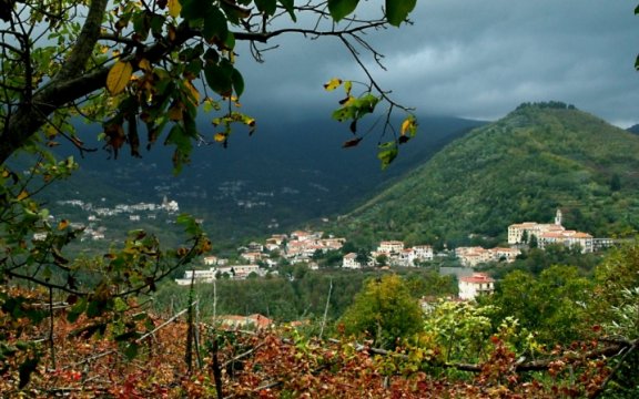 Maiori